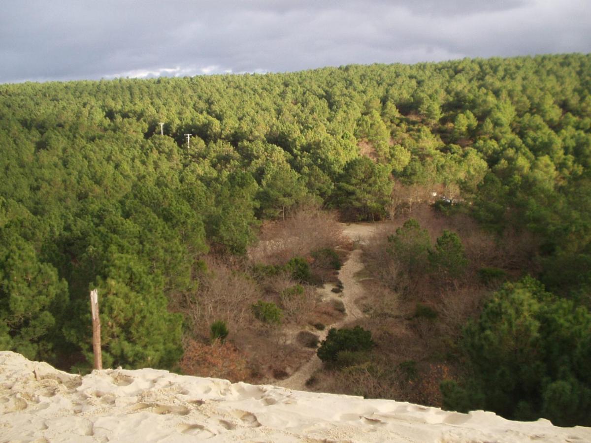 Les Amandiers Biscarrosse Buitenkant foto